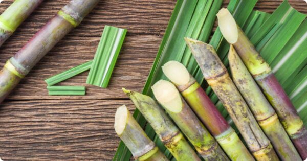 Mật Mía Lên Men - Can 4kg - Ảnh 4